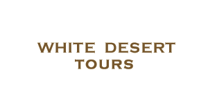 desert-safari-egypt-oasis-white-desert-tours